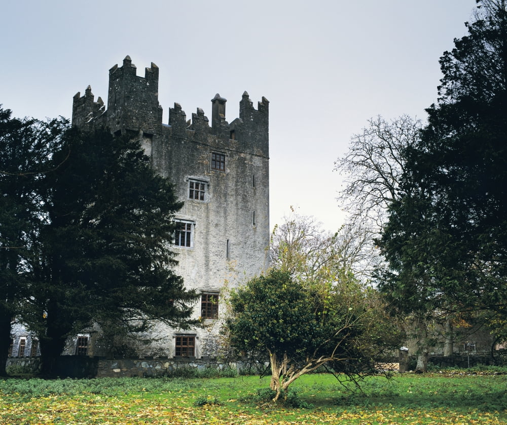Castle Matrix Co Limerick Ireland Canvas Art - The Irish Image Collection Design Pics (32 x 26)