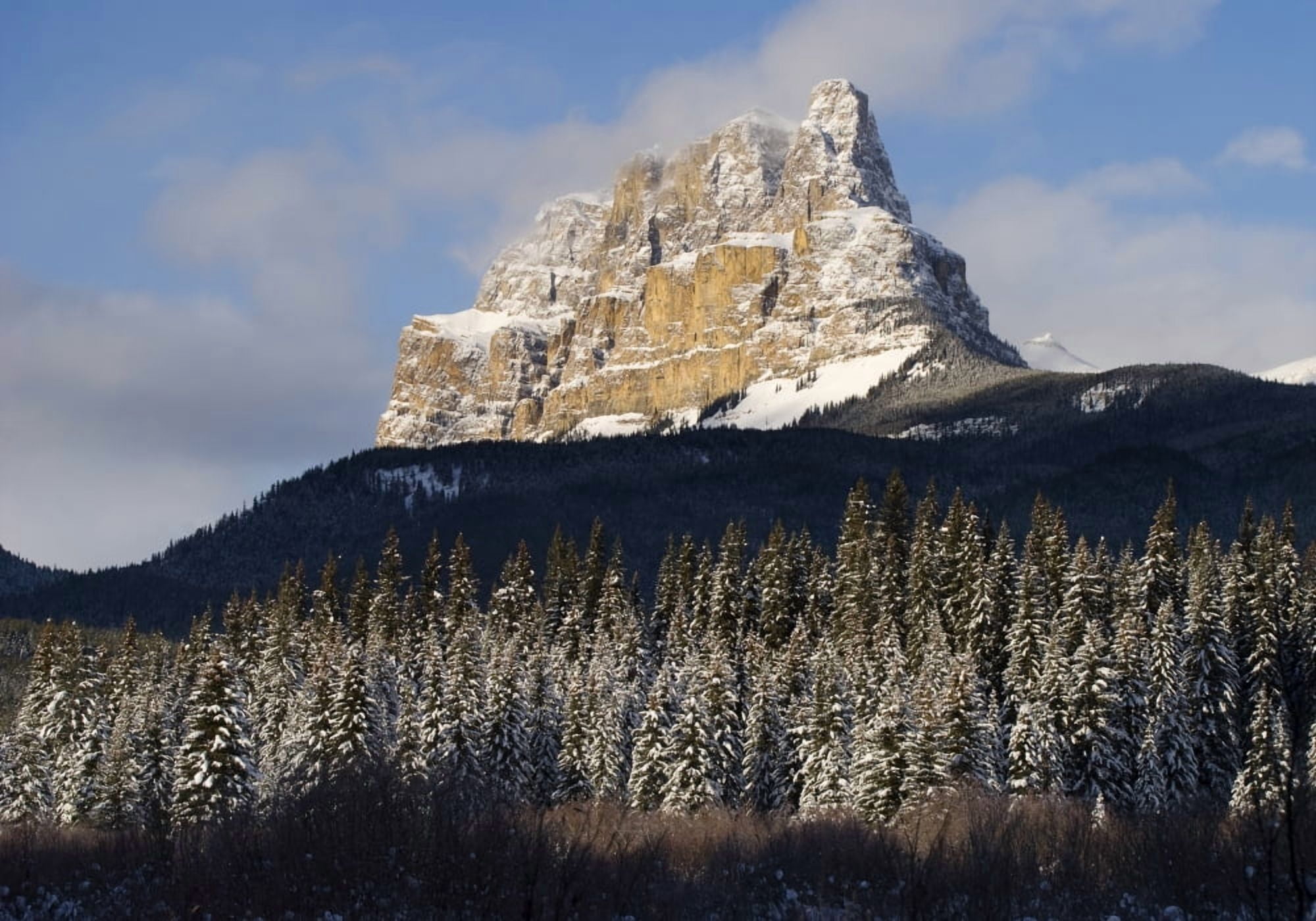 Castle Mountain Banff National Park Banff Alberta Canvas Art - Philippe Widling Design Pics (34 x 24)