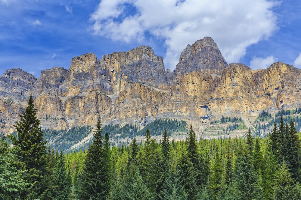 Castle Mountain and coniferous trees Banff National Park Alberta Canada Canvas Art - Ken Gillespie Design Pics (38 x 24)