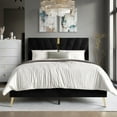 thumbnail image 1 of Castle Place Glamour Luxe Velvet Upholstered Twin Platform Bed, Black, 1 of 8
