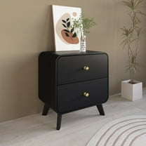 Castle Place Mid-Century 2 Drawer Wooden Nightstand, Black