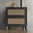 thumbnail image 1 of Castle Place Rattan 2 Drawers Wooden Nightstand, Black, 1 of 8