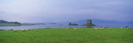 Castle on an island Glencoe Loch Linnh Stalker Castle Scotland Canvas Art - Panoramic Images (36 x 12)