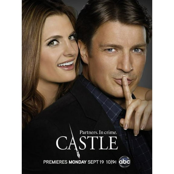 Castle poster Metal Print 12x16 Large Print on Metal 12x16 #151067 Square Adults Best Posters