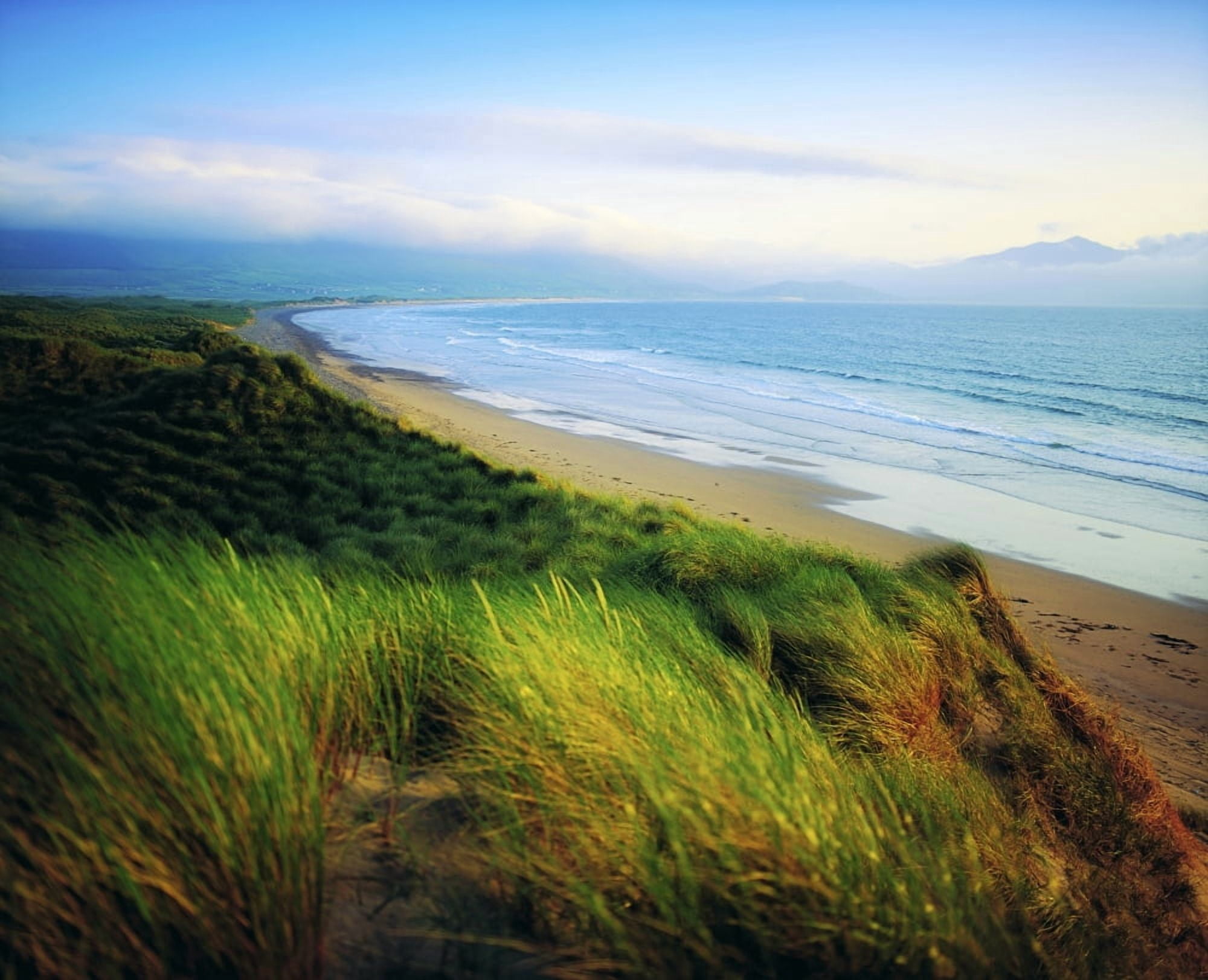 Castlegregory Dingle Peninsula Co Kerry Ireland Canvas Art - The Irish Image Collection Design Pics (16 x 13)