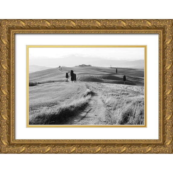 Castoldi, Stefano 32x23 Gold Ornate Wood Framed with Double Matting Museum Art Print Titled - sweet waves