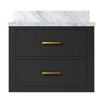 Castor 24 in W Black Single Bath Vanity and Acrylic Top