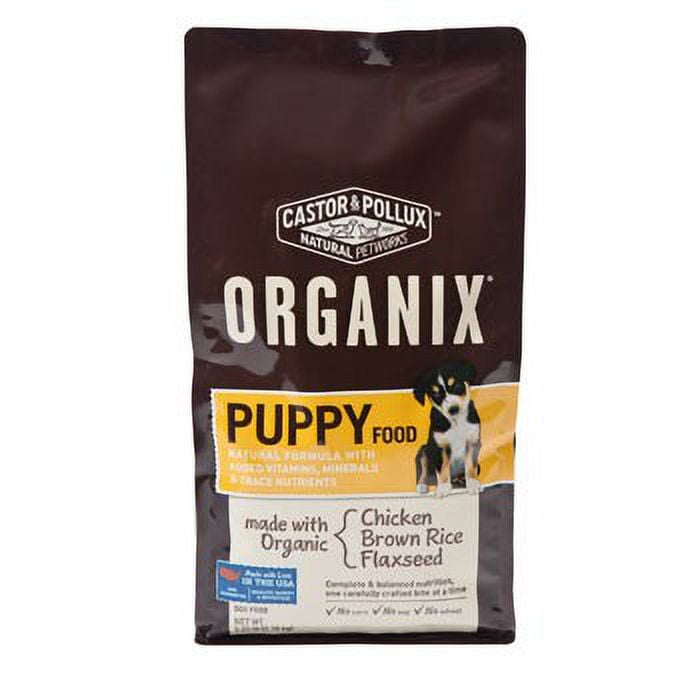 Castor and pollux puppy online