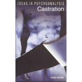 thumbnail image 1 of Pre-Owned Castration (Ideas in Psychoanalysis) (Paperback) 1840464429 9781840464429, 1 of 1