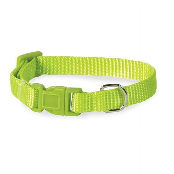 Casual Canine ZM2391 14 70 14-20 in. Nylon Dog Collar, Light Green