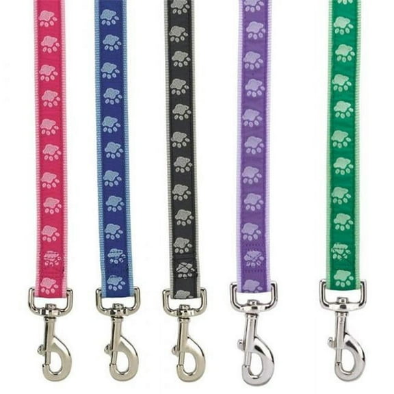 Casual Canine  6 ft. x 1 in. TwoTone Pawprint Lead, Pink