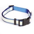thumbnail image 1 of Casual Canine Glow Nylon Collar 14-20in Blu, 1 of 1