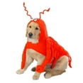 thumbnail image 1 of Casual Canine Lobster Paws Dog Costume, Large (fits lengths up to 20"), Red-Orange, 1 of 3