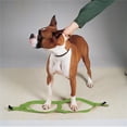 thumbnail image 1 of Casual Canine ZA807 25 29 25-40 in. Nylon 2 Step Dog Harness, Green, 1 of 3