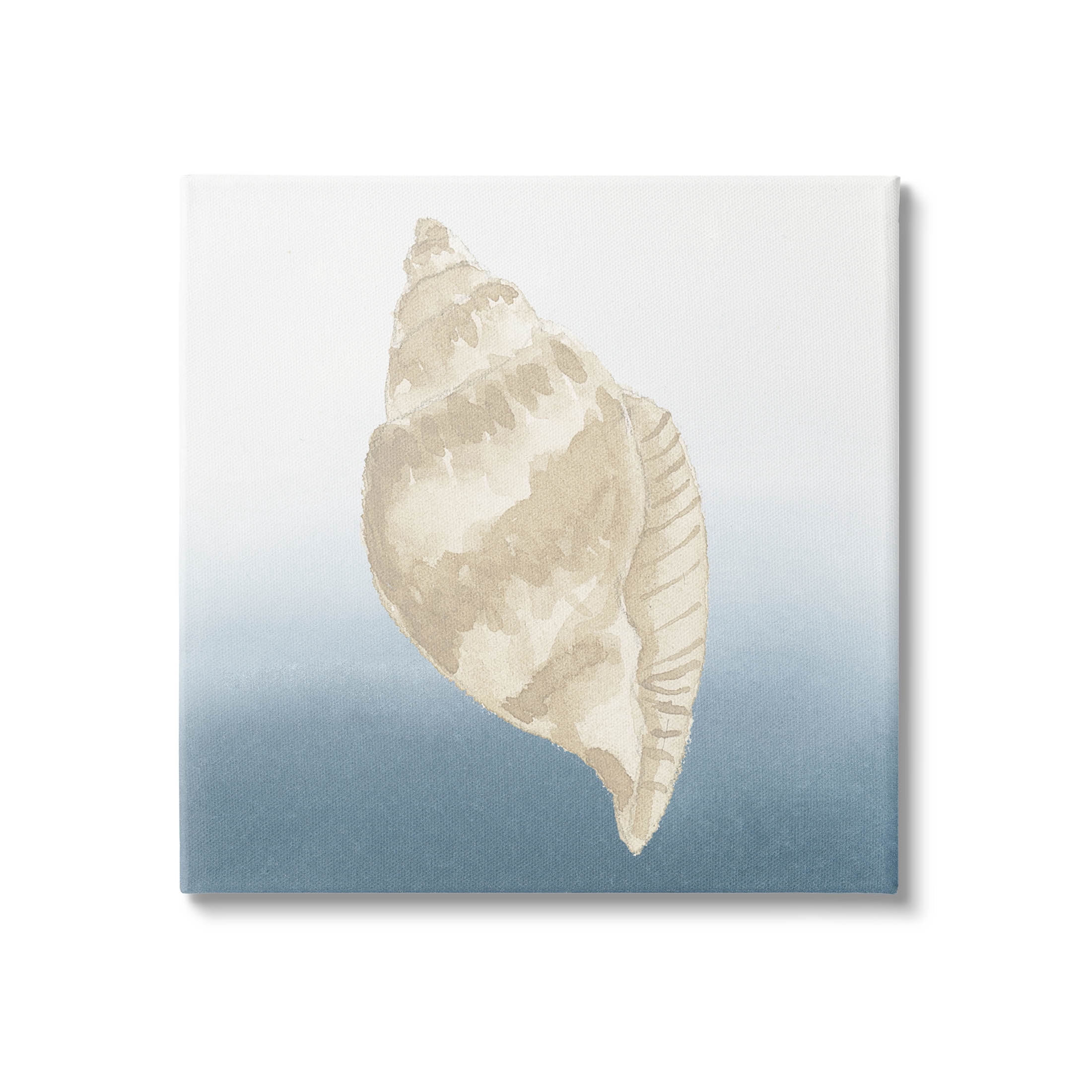 Casual Conch Nautical Life Animals & Insects Graphic Art Gallery Wrapped Canvas Print Wall Art