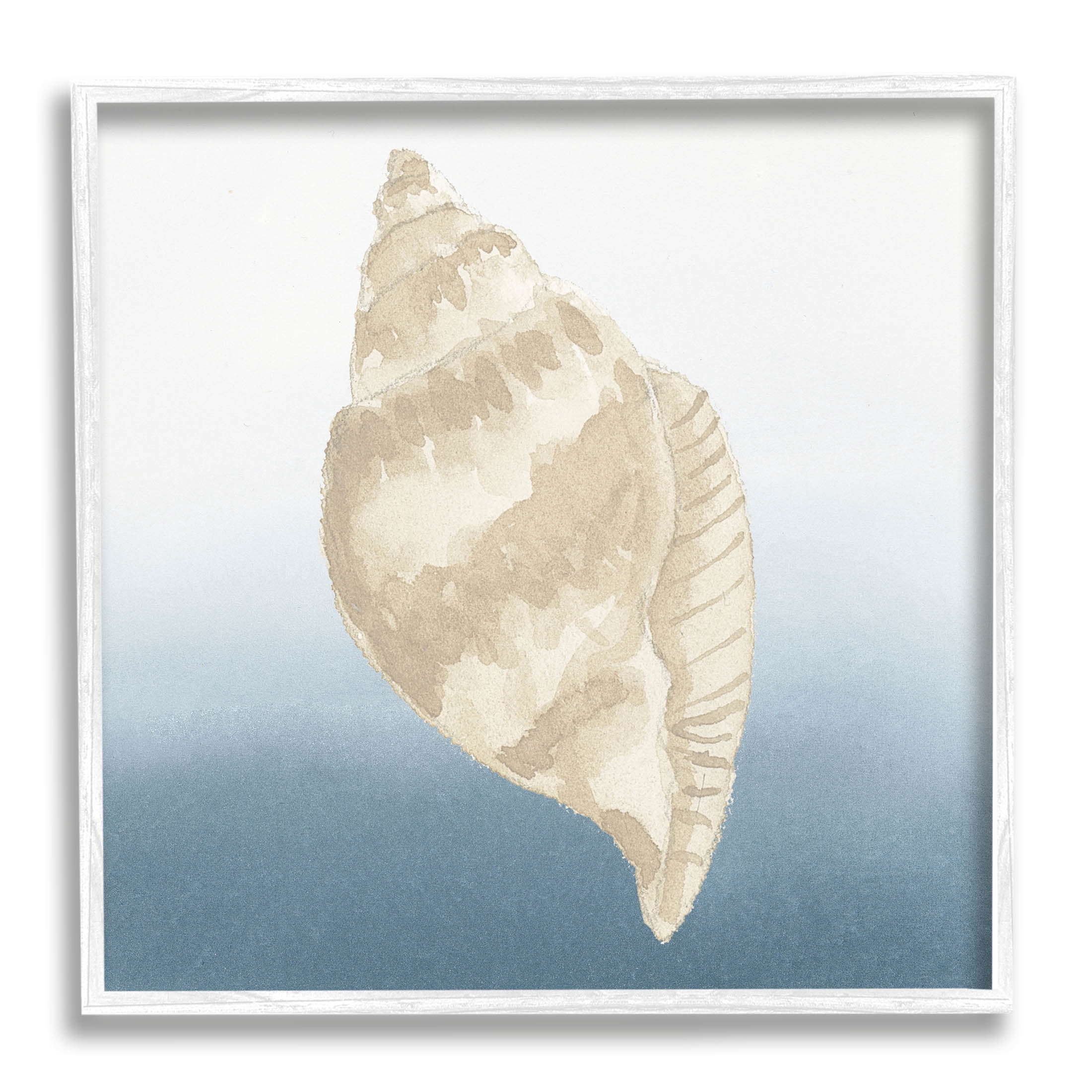 Casual Conch Nautical Life Animals & Insects Graphic Art White Framed Art Print Wall Art
