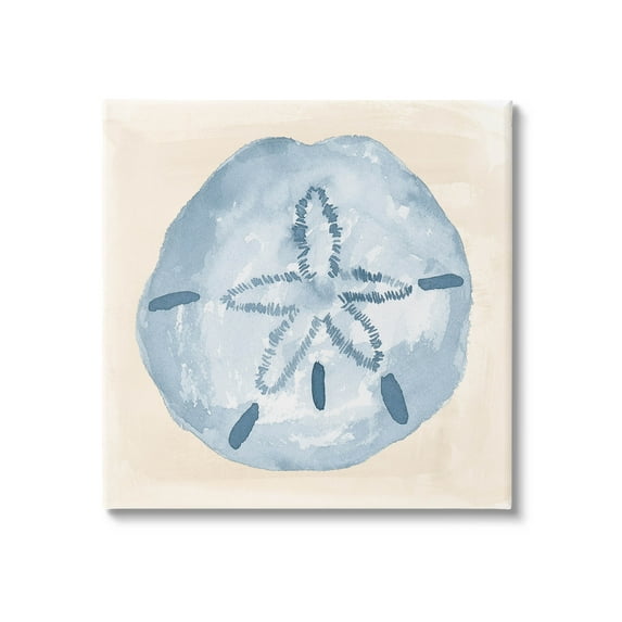 Casual Sand Dollar Beach Life Animals & Insects Graphic Art Gallery Wrapped Canvas Print Wall Art