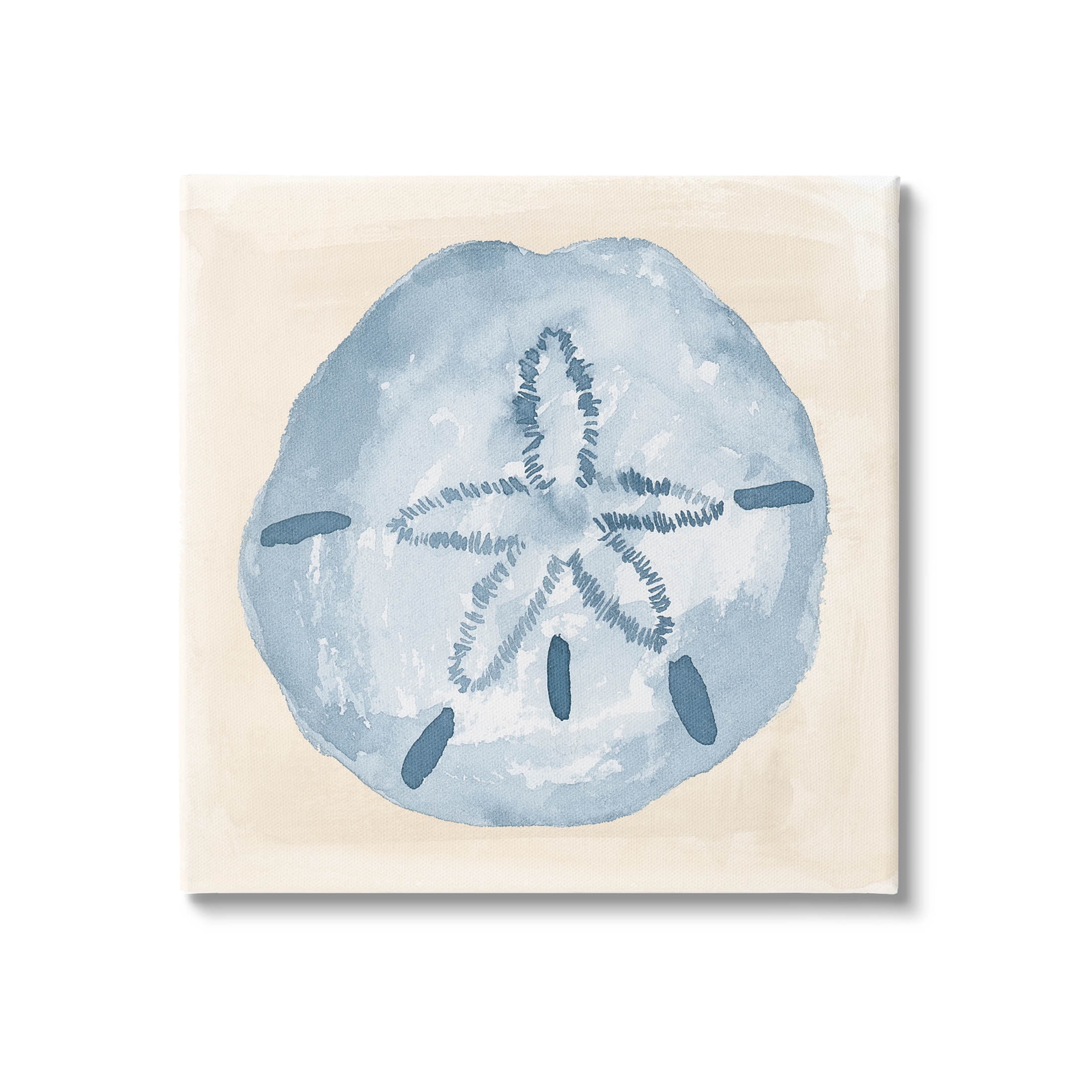 Casual Sand Dollar Beach Life Animals & Insects Graphic Art Gallery Wrapped Canvas Print Wall Art