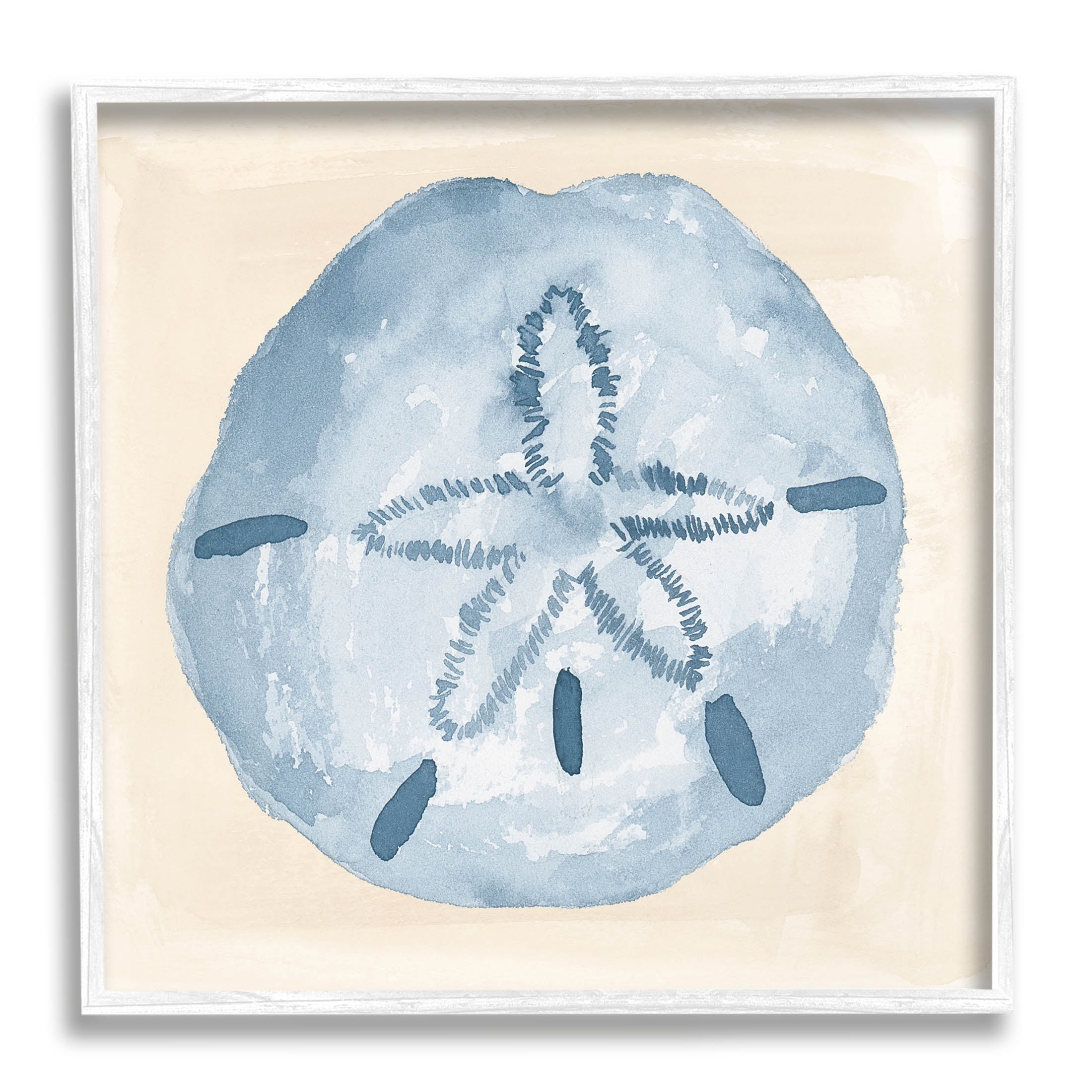 Casual Sand Dollar Beach Life Animals & Insects Graphic Art White Framed Art Print Wall Art
