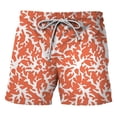 thumbnail image 1 of Casual Stripe Graphic Beach Shorts Men Hawaiian Vacation Short Pants 3D Printed Board Trunk Swimsuit Woman homme Ice Shorts, 1 of 5