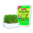 thumbnail image 1 of Cat A'Bout Cat Grass Plus, 150 Gram Tub, 1 of 3