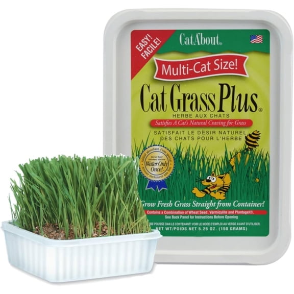 Miracle Care Cat A'bout Cat Grass Kit For Indoor Cats, 5.25 oz Container