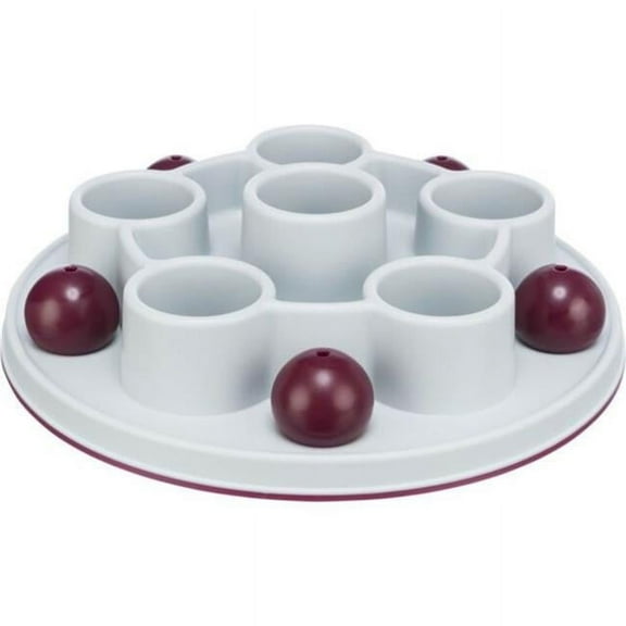 Cat Activity - Pentagon