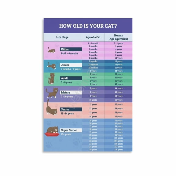 Cat Age Knowledge Chart Poster (2) Canvas Painting Posters And Prints Wall Art for Living Room Bedroom Decor