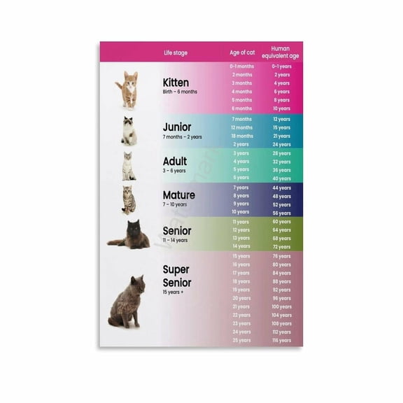 Cat Age Knowledge Chart Poster (9) Canvas Painting Posters And Prints Wall Art for Living Room Bedroom Decor
