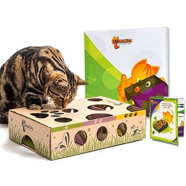 Bright Idea: DIY Puzzle Toys for Cats - Modern Cat