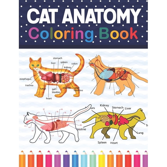Cat Anatomy Coloring Book: Cat Anatomy Coloring Book for Kids & Adults. The New Surprising Magnificent Learning Structure For Veterinary Anatomy Students. Veterinary Anatomy & Physiology Coloring book