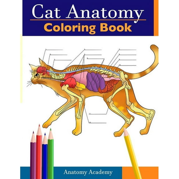 Cat Anatomy Coloring Book: Incredibly Detailed Self-Test Feline Anatomy Color workbook Perfect Gift for Veterinary Stude, (Paperback)