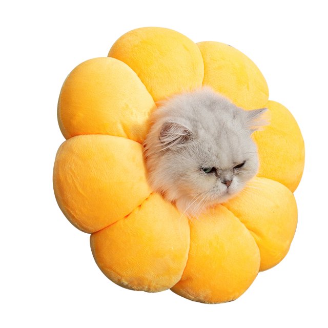 Cat And Dog Sun Flower Medical Collar AntiBite And AntiLicking Pet