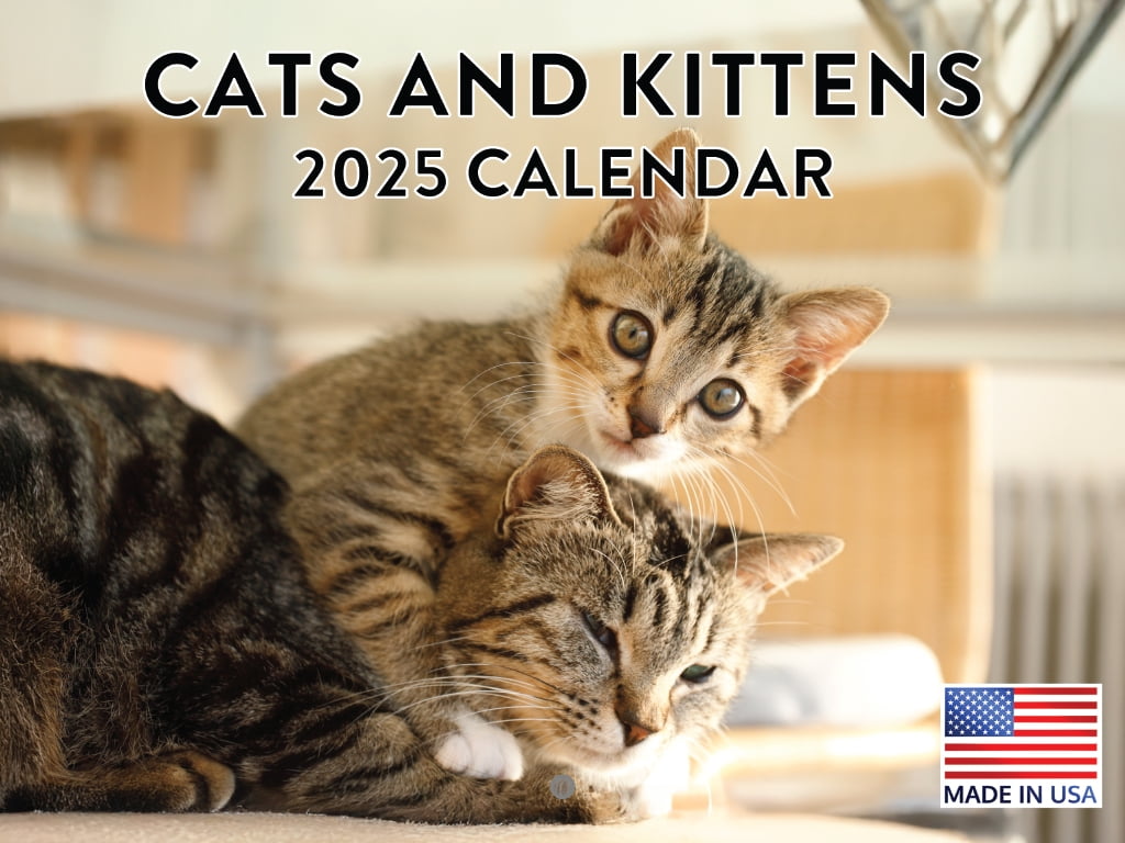 Cat And Kitten Pet 2025 Wall Calendar American Made In The USA