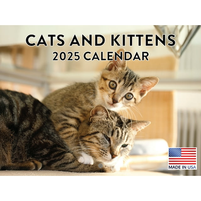 Cat And Kitten Pet 2025 Wall Calendar American Made In The USA