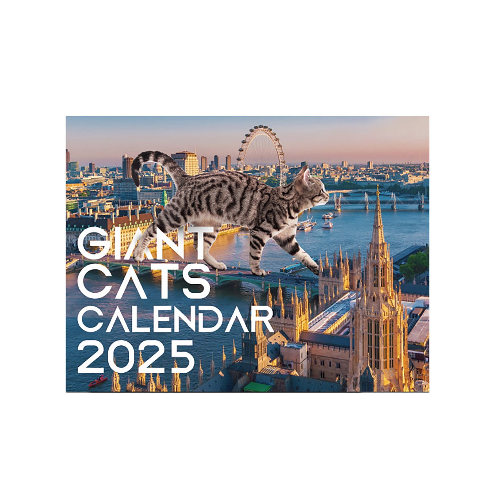 Cat Animal Pet Calendar 2025 Monthly Wall Calender 12 Month Small 2022