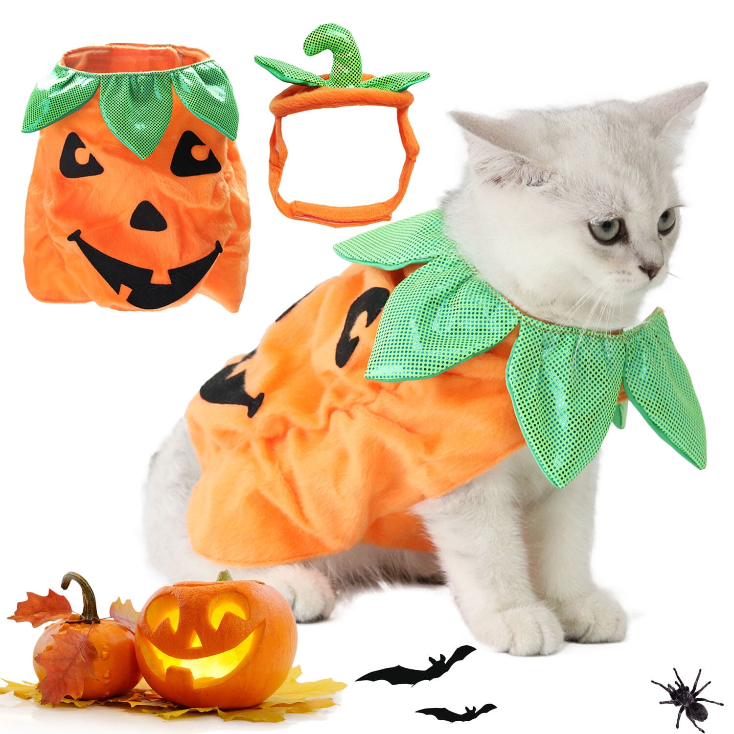 A cat dressed as a pumpkin with Halloween graphics and an image of the costume around it