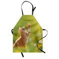 thumbnail image 1 of Cat Apron Animal Theme Cat Hunting a Ladybug Nature Grass Dandelions Digital Print, Unisex Kitchen Bib Apron with Adjustable Neck for Cooking Baking Gardening, Earth Yellow Pale Green, by Ambesonne, 1 of 3