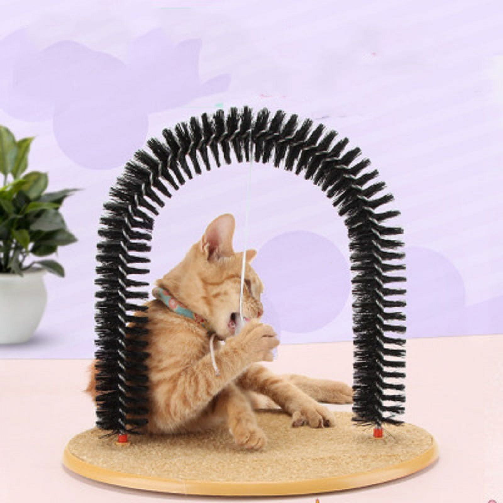 Self grooming sales cat scratcher