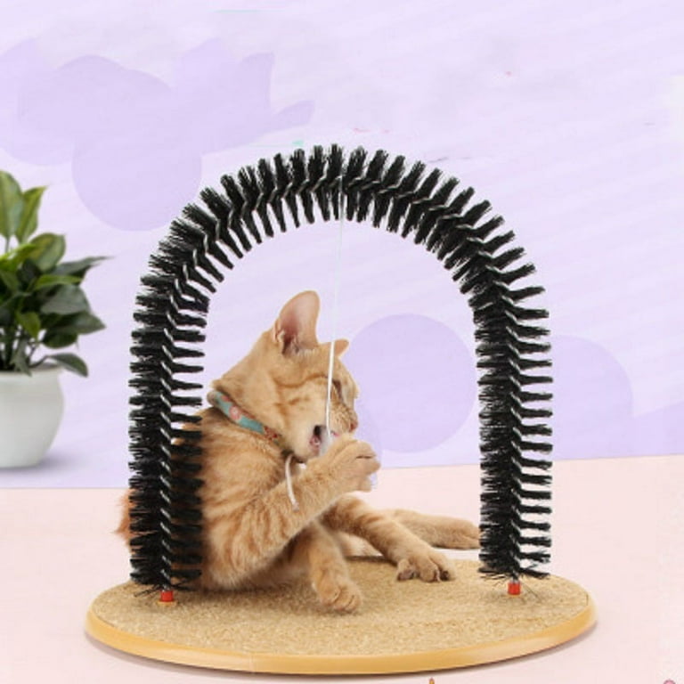 Arch groomer cheap for cats