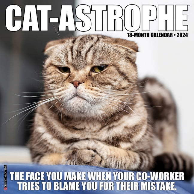 CatAstrophe 2024 12 X 12 Wall Calendar (Other)