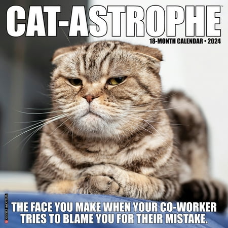 product image of Cat-Astrophe 2024 12 X 12 Wall Calendar (Other)