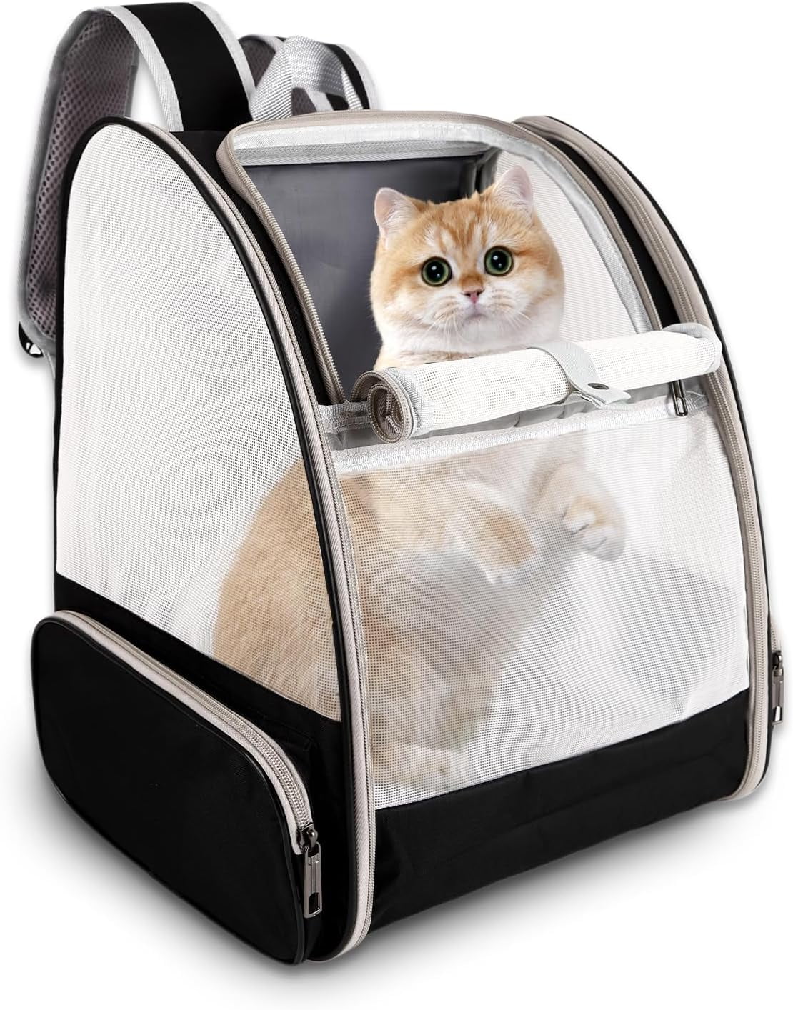 Cat Backpack Carrier,Pet Carrier Airline Approved for Small Dog Cat — free download