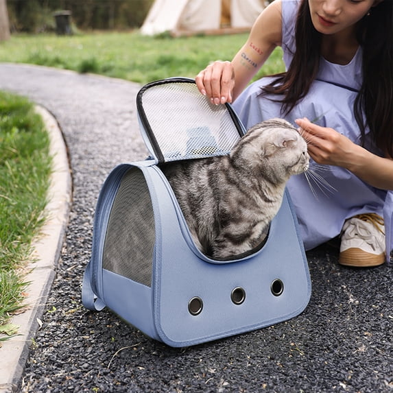 Foldable Cat Backpack Carrier, Portable Pet Travel Bag, Breathable Mesh Ventilation, Large Capacity for Hiking & Camping
