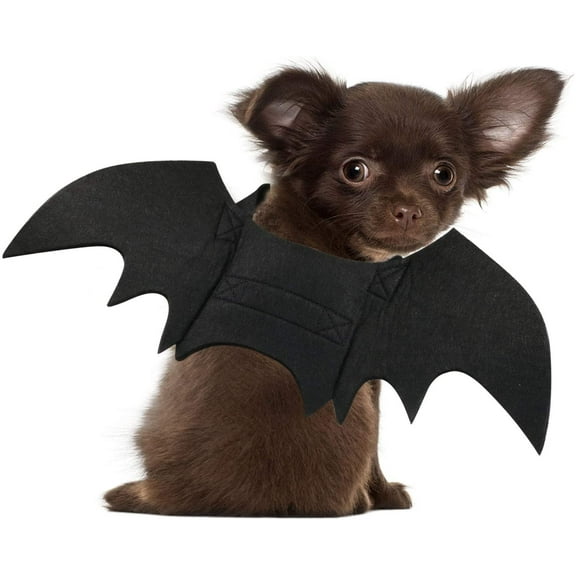 Cat Bat Costume Halloween Pet Costume Bat Wings Cosplay Dog Costume Cat Costumes for Party XS