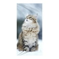 thumbnail image 1 of Cat Beach Towel for Women, Microfiber Beach Towels for Adults, Cute Personalized Beach Towels Bulk, Big Extra Large Beach Towels Oversized , Quick Dry Sand Free Beach Towel for Pool 30"X 60", 1 of 4