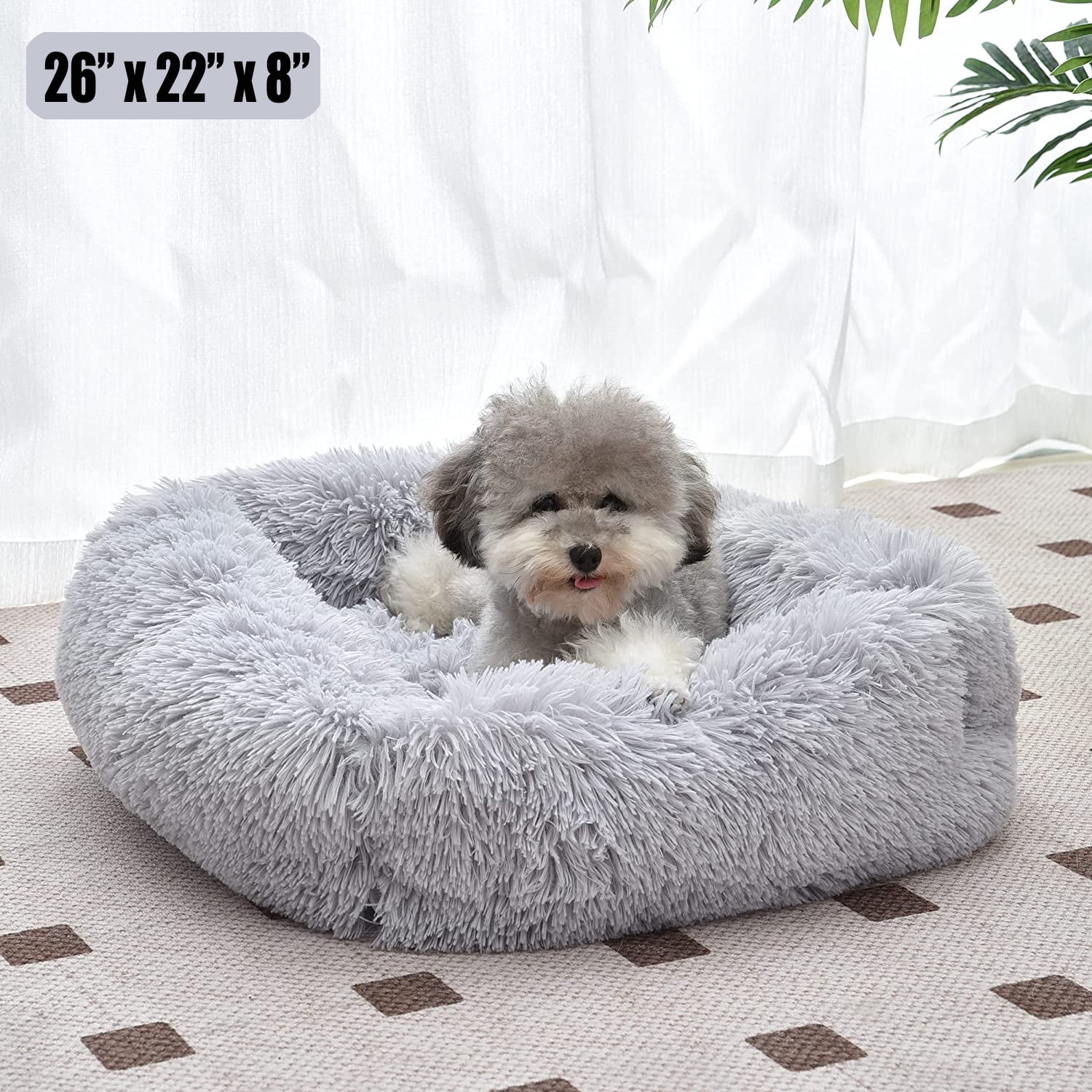 Dog and best sale cat beds