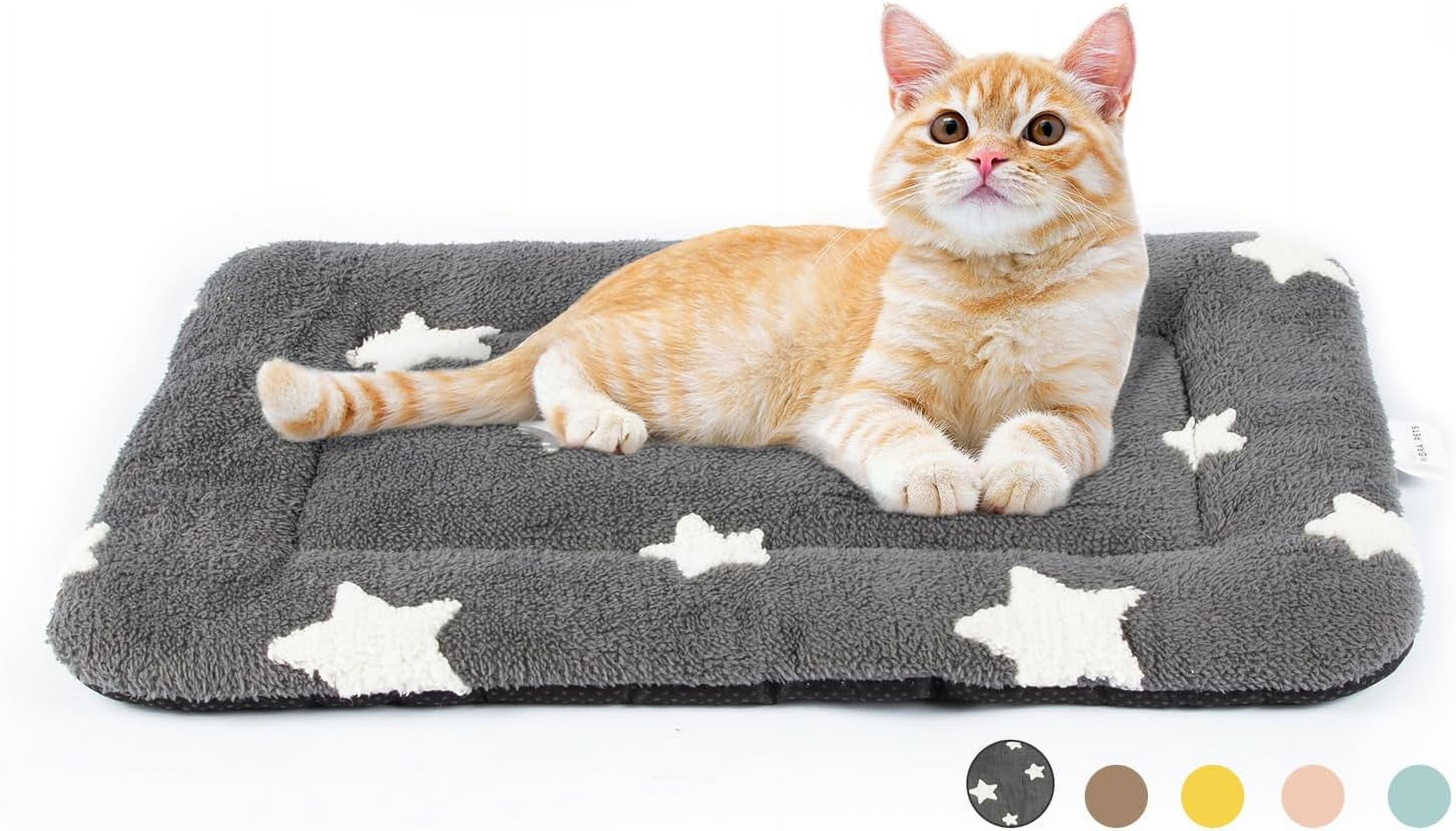 Photo inspiration: Picture Idea: Cat Bed For Indoor Cats Washable Dog Crate Pad Cute