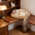 thumbnail image 1 of Cat Bed Warm Cozy Round Cushion for Cats Small Dogs Soft Lint Sleeping Mat Lightweight Washable Grip Base 19.7in by MPOISVA, 1 of 6