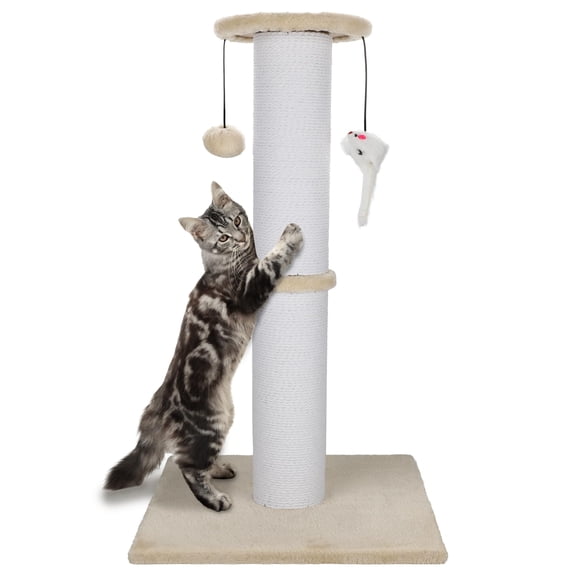 Cat Beige 34 Inch Tall Indoor Use